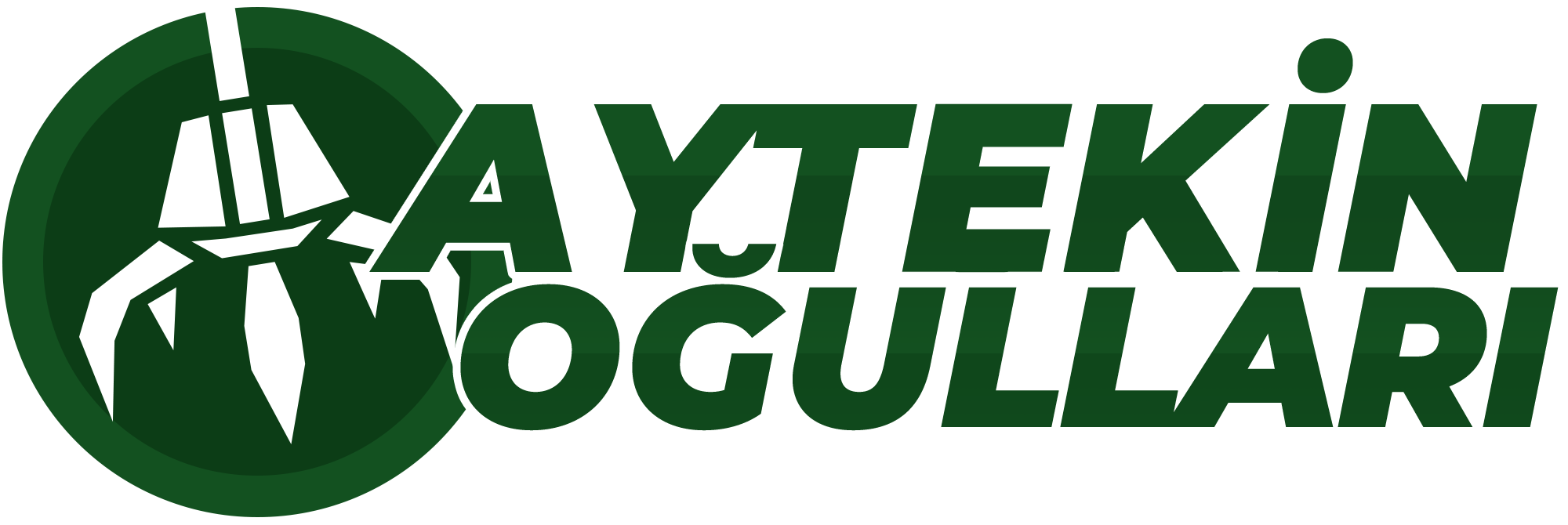 Aytekinoğulları görseli